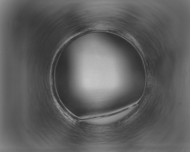 X0000073830795200608240949