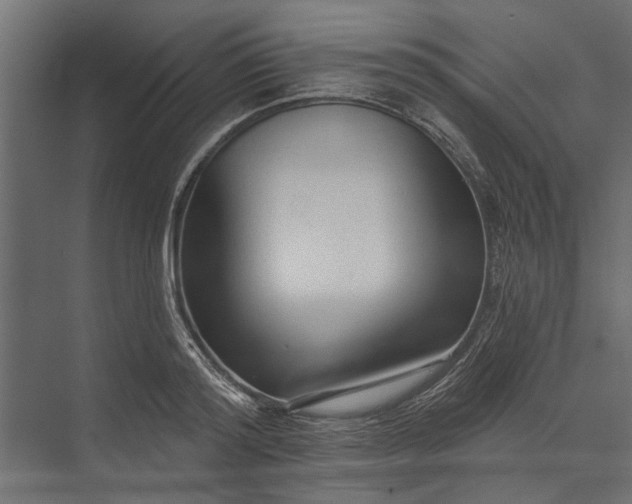 X0000073830796200608240949