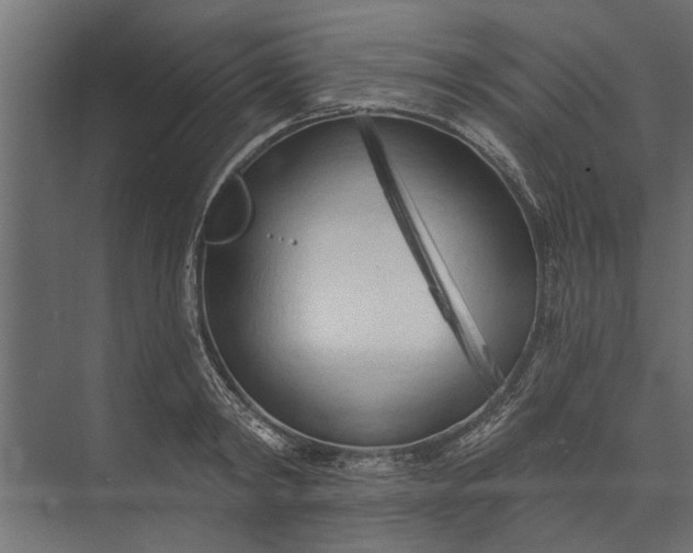 X0000073830798200608240949