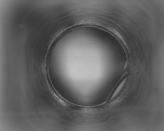 X0000073830799200608240949