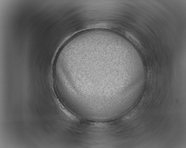 X0000073830800200608240949