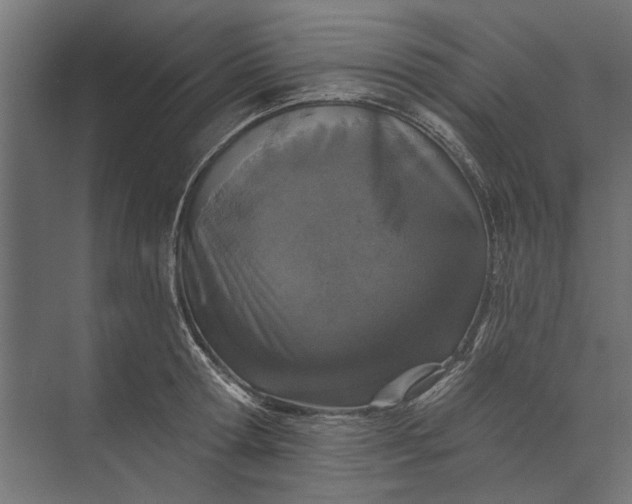 X0000073830802200608240949