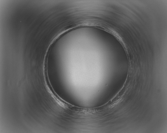 X0000073830803200608240949