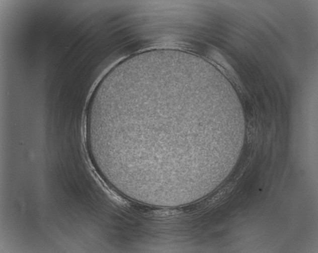 X0000073830804200608240949