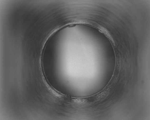 X0000073830805200608240949