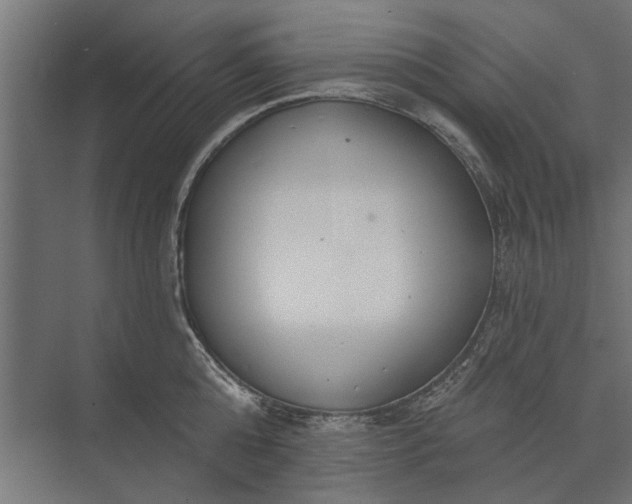 X0000073830808200608240949