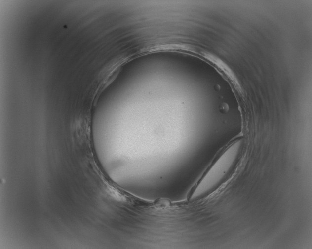 X0000073830809200608240949