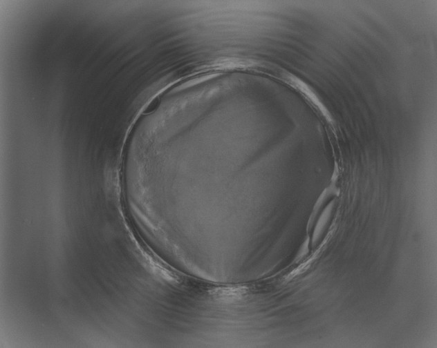 X0000073830810200608240949