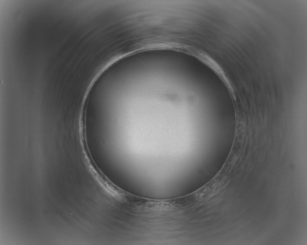 X0000073830811200608240949