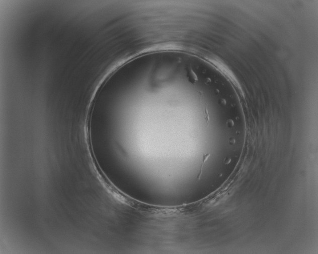 X0000073830813200608240949