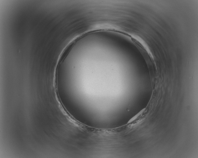 X0000073830815200608240949