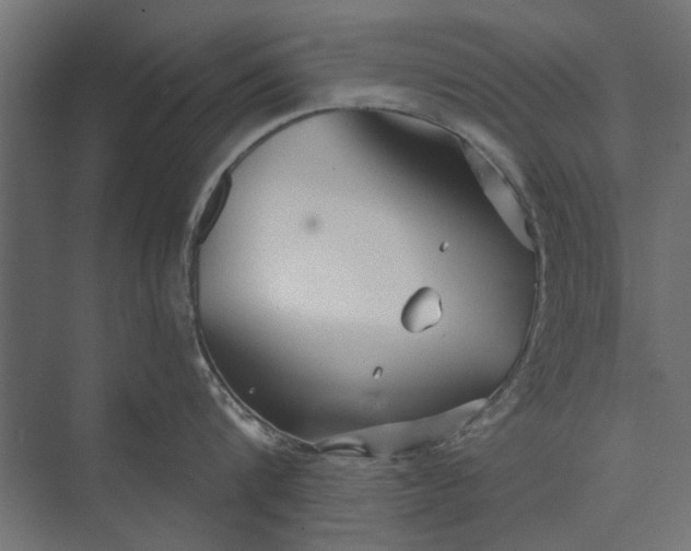 X0000073830816200608240949