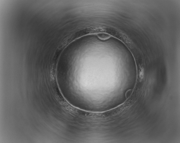 X0000073830819200608240948