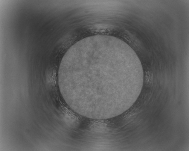 X0000073830820200608240948