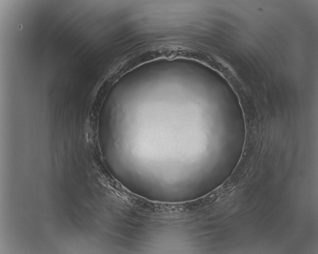 X0000073830823200608240948