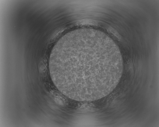 X0000073830824200608240948