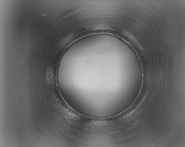 X0000073830825200608240948