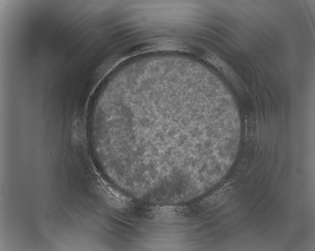 X0000073830828200608240948