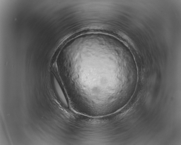 X0000073830829200608240948