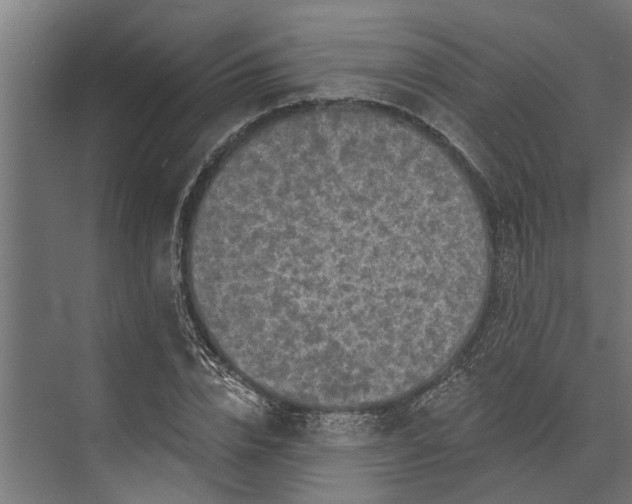 X0000073830832200608240948