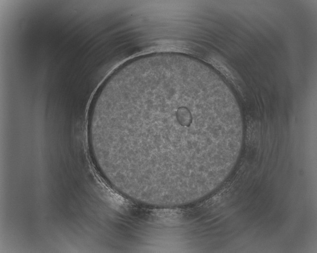 X0000073830836200608240949