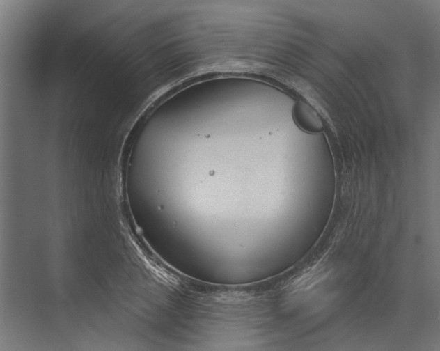 X0000073830837200608240949