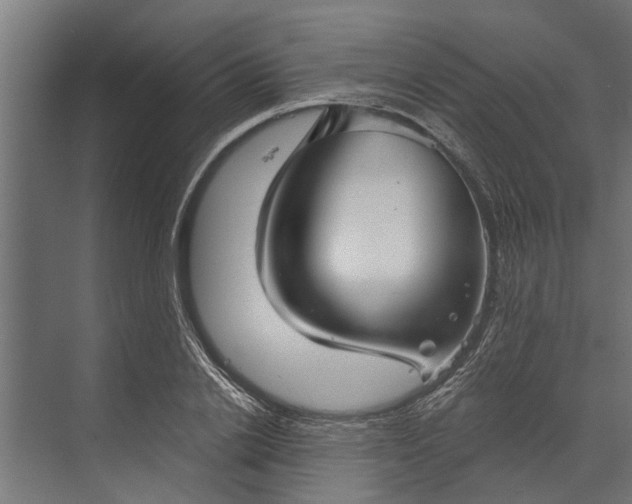 X0000073830838200608240949