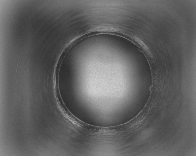 X0000073830840200608240949