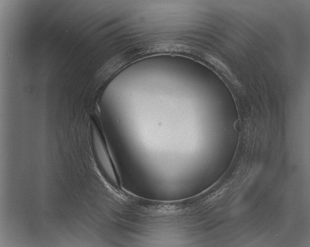 X0000073830841200608240949