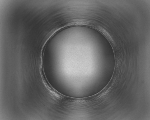 X0000073830844200608240949