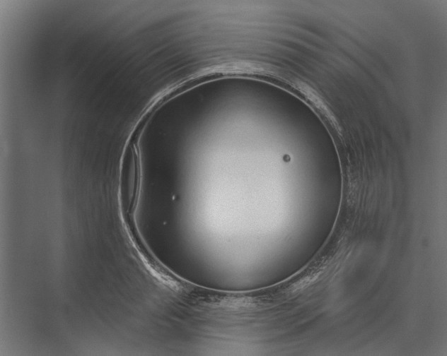 X0000073830845200608240949