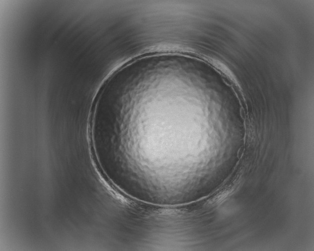 X0000073830847200608240949