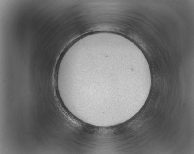 X0000073830848200608240949