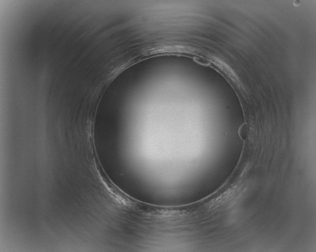 X0000073830849200608240949