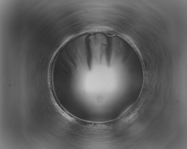 X0000073830851200608240949