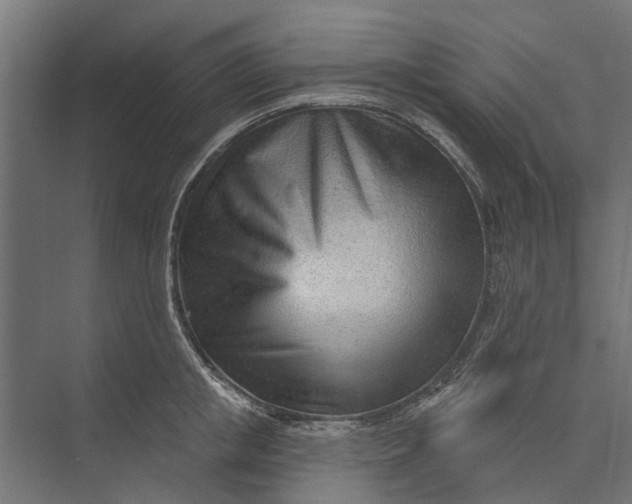 X0000073830853200608240949