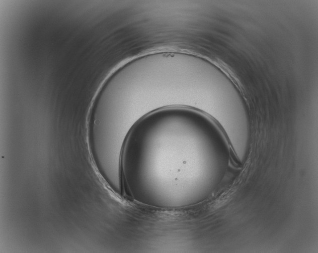 X0000073830854200608240949