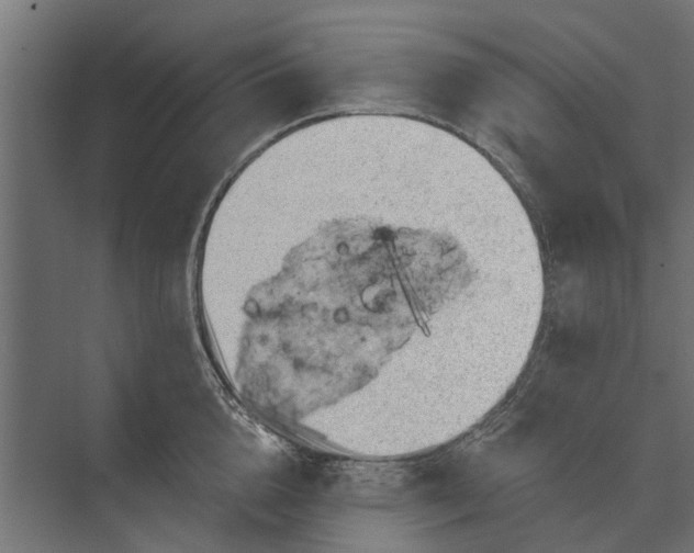 X0000073830856200608240949