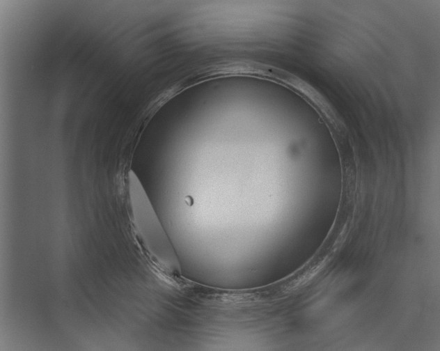 X0000073830857200608240949