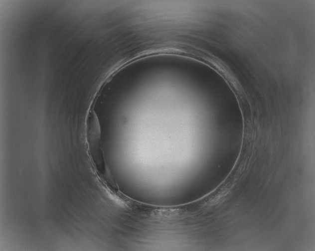 X0000073830858200608240949