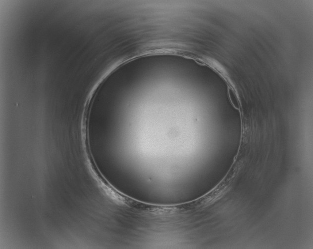 X0000073830859200608240949