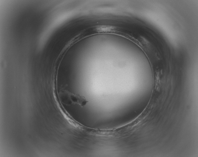 X0000073830861200608240949