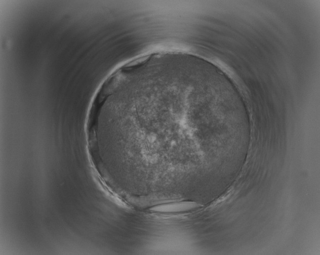 X0000073830864200608240949