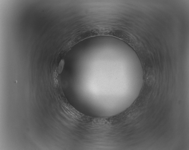 X0000073830866200608240948