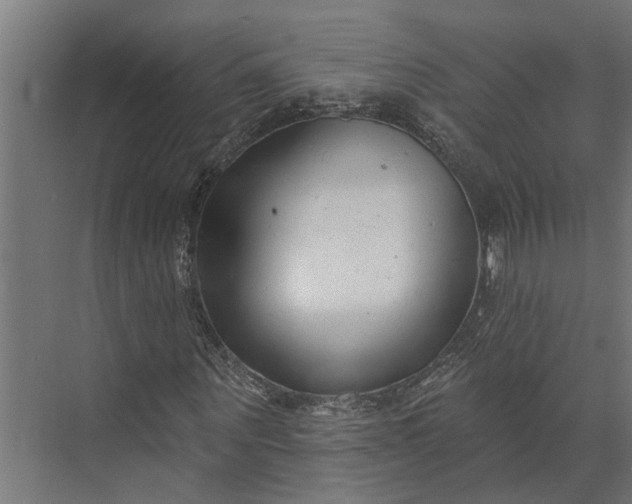 X0000073830867200608240948