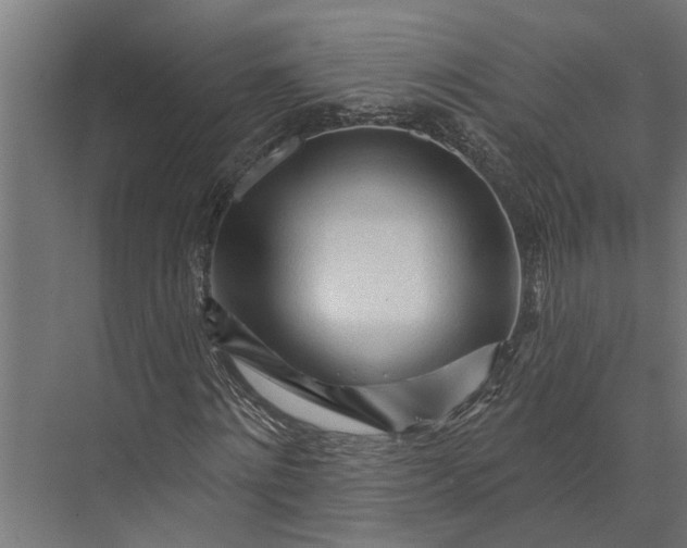 X0000073830868200608240948