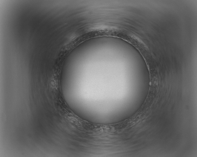 X0000073830869200608240948