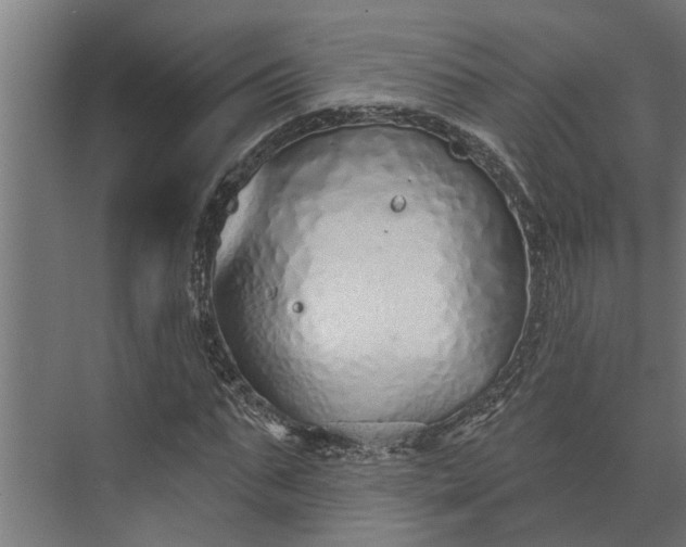 X0000073830871200608240948