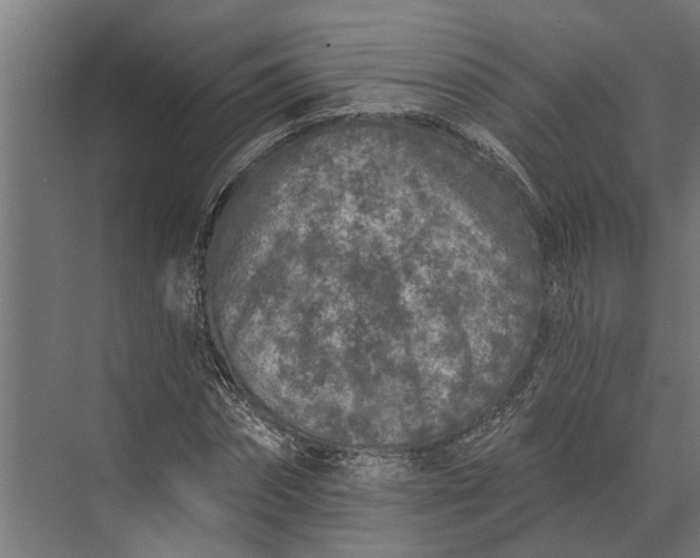 X0000073830874200608240948