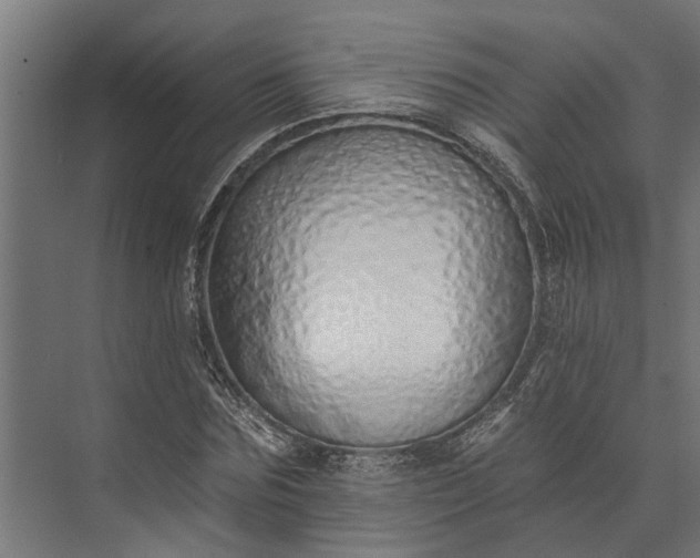 X0000073830875200608240948